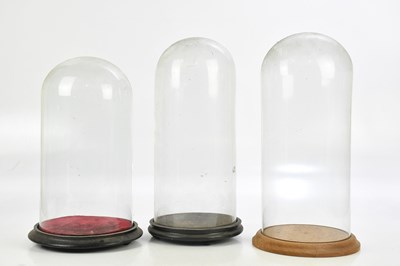 Lot 1376 - Three Victorian and later glass domes on...