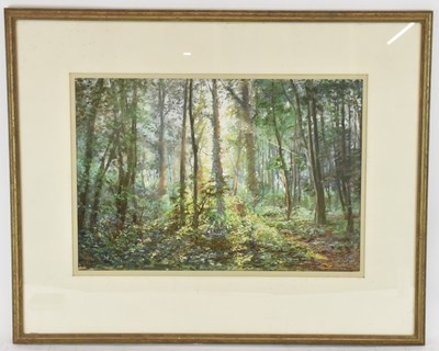 Lot 280 - MARGARET GLASS (born 1950); pastel on board,...