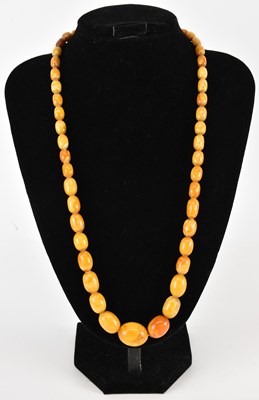 Lot 1562 - An egg yolk amber style bead necklace, length...