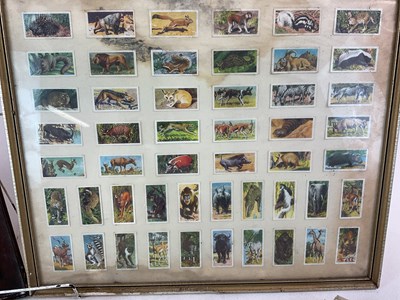 Lot 41 - A group of cigarette and tea cards, loose and...