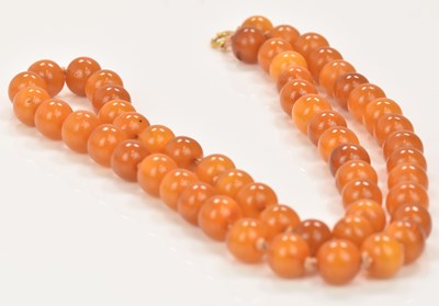 Lot 519 - A string of graduated hand tied butterscoth...