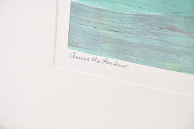 Lot 17 - ANNE ASPINALL (b.1949); mixed media, 'Across...