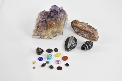 Lot 2594 - NATURAL HISTORY; a collection of natural...