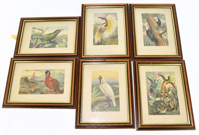 Lot 1441 - AFTER J.W. WOOD; a set of six hand coloured engravings of exotic birds