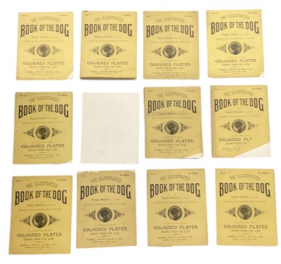 Lot 439 - Twelve volumes of 'The Illustrated Book of the...