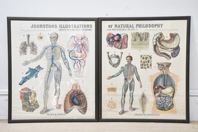 Lot 1684 - JOHNSTON'S ILLUSTRATIONS OF NATURAL PHILOSOPHY;...