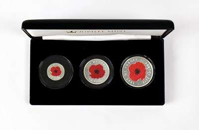 Lot 630 - A Remembrance Day solid silver proof coloured...