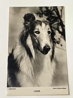 Lot 2138 - ELIZABETH TAYLOR; a black and white...