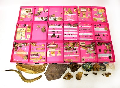 Lot 368 - A good quantity of fossilised animal remains,...