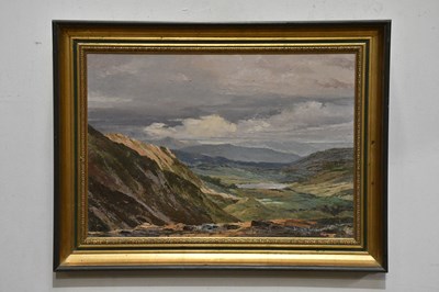 Lot 481 - DAVID W JACKSON; oil on board, mountainous...