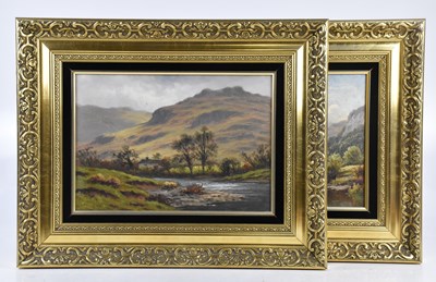 Lot 448 - THOMAS SPINKS (1847-1939); a pair of oils on...