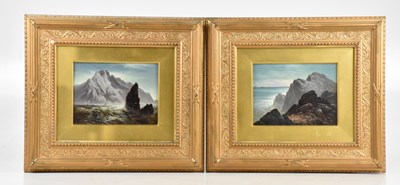 Lot 449 - 19TH CENTURY ENGLISH SCHOOL; a pair of oils on...