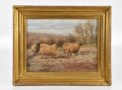 Lot 459 - W S BOYD; 19th century oil on canvas, sheep in...
