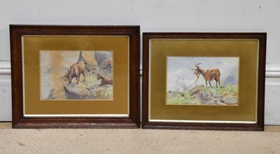 Lot 429 - W H FAULDS; a pair of watercolours, both...