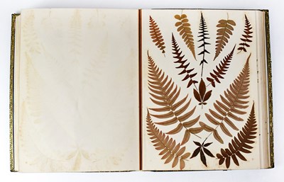 Lot 342 - A late 19th/early 20th century album...