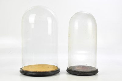 Lot 1367 - Two late Victorian glass domes on ebonised...