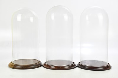 Lot 1381 - Three Victorian style glass domes, two on...
