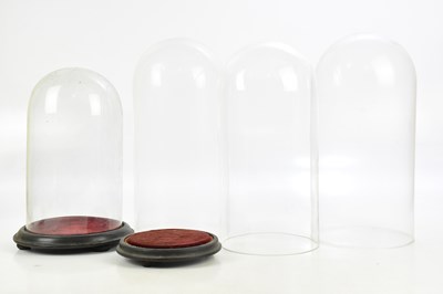 Lot 1382 - A Victorian glass dome on ebonised plinth base,...