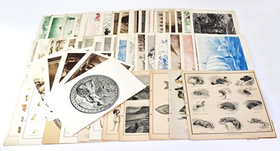 Lot 861 - A quantity of educational posters, some colour,...