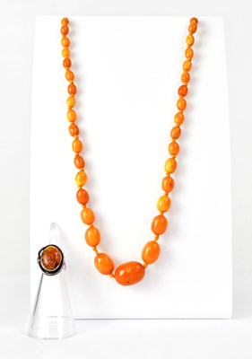 Lot 1092 - Two continuous amber-style necklaces, one with...