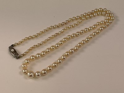 Lot 597 - A string of hand tied cultured pearls with...