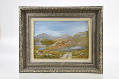 Lot 1873 - PAT WALSH; oil on board, 'Mist in the...