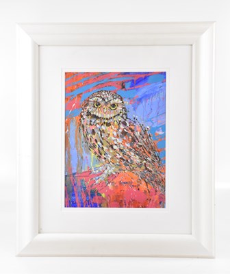 Lot 1868 - SALLY CARLAW; oil on board, study of an owl,...