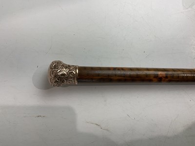 Lot 2348 - A late Victorian walking cane, with embossed...
