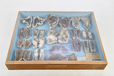 Lot 2303 - MINERALOGY; a collection of thirty-two Florida...