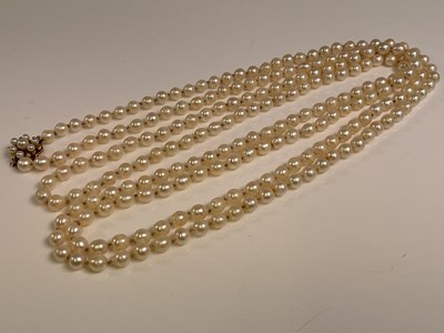 Lot 570 - An opera length hand tied string of cultured...