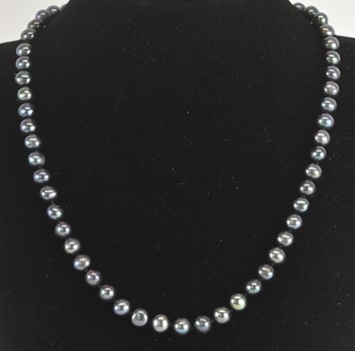 Lot 1426 - A single strand black cultured pearl necklace,...