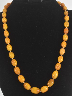 Lot 1439 - A single strand butterscotch amber bead...