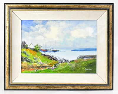 Lot 441 - MICHAEL F. DOWNES (Irish, 1937-2014); two oils...