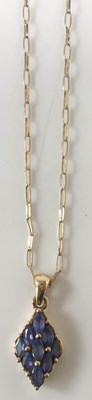 Lot 411 - A 9ct yellow gold pendant on chain, length of...