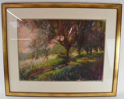 Lot 185 - DEBRA MANIFOLD (1961-2002); pastel, 'Autumn...