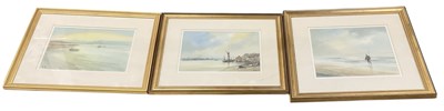 Lot 228 - PETER TOMS (born 1940); watercolour, 'Fading...