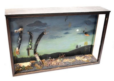 Lot 676 - A large mahogany taxidermy case (lacking front...
