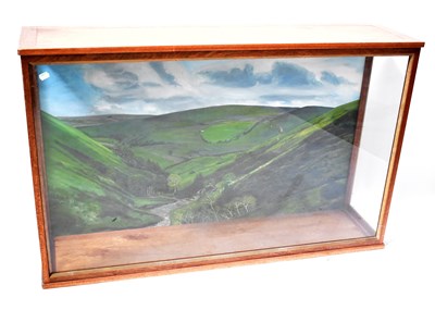 Lot 694 - A glazed mahogany taxidermy case, with painted...