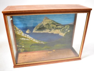 Lot 683 - A glazed mahogany taxidermy case, with painted...