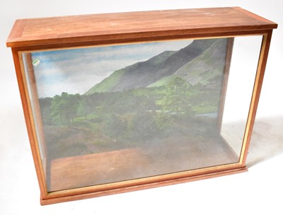 Lot 687 - A glazed mahogany taxidermy case, with painted...