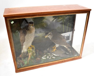 Lot 308 - A cased taxidermy group of a male and female...