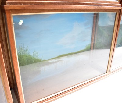 Lot 684 - A glazed mahogany taxidermy case, with painted...