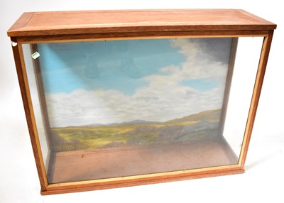 Lot 685 - A glazed mahogany taxidermy case, with painted...