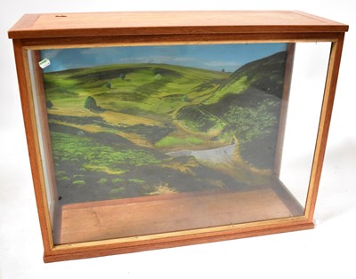 Lot 686 - A glazed mahogany taxidermy case, with painted...