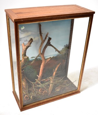 Lot 691 - A glazed mahogany taxidermy case, with...