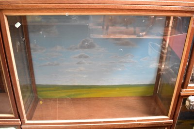 Lot 688 - A glazed mahogany taxidermy case, with painted...
