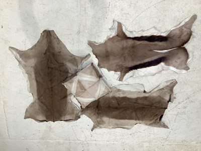 Lot 1538 - Three springbok hides and a cushion (4).