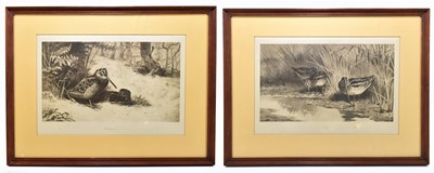 Lot 1448 - AFTER ARCHIBALD THORBURN; two prints, 'Snipe' and 'Woodcock'