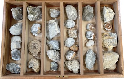Lot 230 - FOSSILS; an early to mid 20th century tabletop...