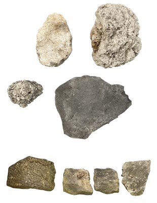 Lot 235 - FOSSILS; four large stone sections containing...